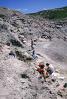 Maiasaurus excavation, Badlands, Montana, APDV01P14_02