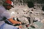 Maiasaurus excavation, Badlands, Montana, APDV01P14_11