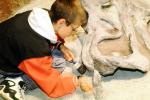 hands-on exhibit, boy paleontologist, APDV02P02_01