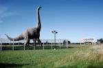 Dixie the Dinosaur, Brachiosaurus, fence, off of Interstate Highway I-80, Roadside Attraction, Americana, Dixon California, APDV02P02_15