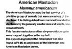 American Mastodon, APMV01P02_18
