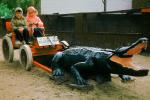 Two Girls on a Gator Pulled Cart, Saint Augustine Alligator Farm, 1950s, ARAV01P03_14B