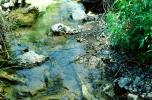 stream, water, ARSV01P02_11