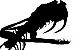 Fangs, Skull, Skeleton, Gaboon Viper (Bitis Gabonica) silhouette, Venomous Viper, Viperidae, Viperinae, Bitis, logo, shape, ARSV02P11_06M