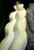 Burmese Python, (Python molurus bivittatus), Pythonidae, constrictor, ARSV03P09_02