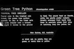 Green Tree Python, (Chondropython viridis), ARSV03P09_08