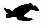 Hawksbill Sea Turtle silhouette, (Eretmochelys imbricata), Cheloniidae, shape, logo