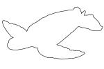Hawksbill Sea Turtle Outline, Line Drawing, (Eretmochelys imbricata), Cheloniidae, shape