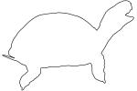 Box Turtle Outline, Line Drawing