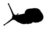 snail silhouette, logo, shape, ATSV01P02_18.1713M