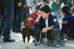 Boy with His Rooster, Tashkent, Uzbekistan, AZFV01P02_06