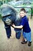 Boy with Gorilla Statue, AZPV01P02_09