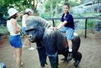 Boy with Gorilla Statue, AZPV01P02_10