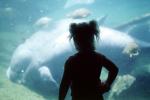 Girl, Manatee tank, exhibit, aquarium