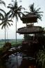 Toadstools, broad leaved plant, Pond, Lily pads, pagoda, palm trees, Island of Bali, CADV01P01_11