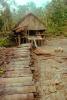 shack, grass thatched roof, Hut, stairs, Teleburn, western Sumatra, Sod