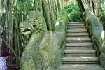 Dragon Stair Guide, stairs, steps, banyan