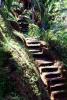 Steps, jungle, Como Shambhala Hotel, formerly Begawan Giri Estate, Ubud, Bali, CADV01P13_14