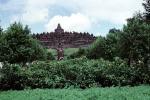 statue, statuary, Borobudur Temple, Buddhist, jungle, Java, CADV01P14_01