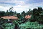 Red Roofs, buildings, houses, homes, trees, jungle, Bali
