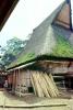Moss, grass thatched roof house, building, Batak, Sod, CADV02P01_16