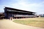 Horse racing, grand stand, seats, CAFV01P04_04