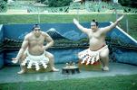 Sumo Wrestlers, Tiger Balm Gardens, CAGV01P02_11