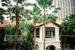 Palm tree, building, balcony