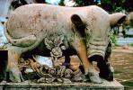 Pig, Boar, Statue, flowers