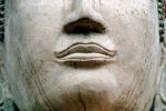 Lips, Nose, Buddha Face Statue, Ayutthaya Historical Park, CAHV01P10_11.1525
