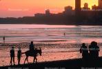 Chowpatty Beach, sand, Donkey, Mumbai