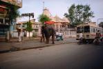 Elephant, sidewalk, Vespa, Ahmedabad, Gujarat