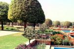 Moghul Gardens, Flowers, Manicured Trees, Delhi, CAIV02P14_01