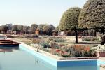Moghul Gardens, Flowers, Manicured Trees, Delhi, CAIV02P14_02