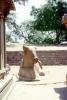 Holy Cow, Stone Carving, Mahabalipuram, Tamil Nadu, CAIV04P01_18