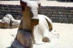 Holy Cow, Stone Carving, Mahabalipuram, Tamil Nadu, CAIV04P01_19