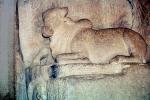 Brahma Bull, Cow, Stone Carving, Mahabalipuram, Tamil Nadu, bar-Relief, CAIV04P02_18