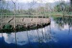 Kashmir, river, water, reflection