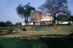 Lost City, Banaras, Temple, Trees, Lawn, CAIV04P04_08