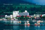 Hotel, Lake, Geese, Docks, buildings, skyline, Nikko, CAJV02P03_16.0628