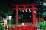 Nikko, Torii Gate, CAJV02P04_15.3338