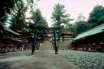 Torii Gate, Toshogu Shrine, ornate, building, shrine, temple, Nikko, opulant