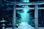 Torii Gate, Toshogu Shrine, building, shrine, temple, Nikko, CAJV02P06_10.3338