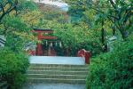 Kamakura, steps, footbridge, trees, Torii Gate, CAJV02P07_17.3338
