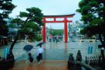 Kamakura, Torii Gate, CAJV02P08_08.3338