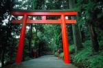 Torii Gate, CAJV02P09_09.3339