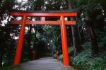 Torii Gate, CAJV02P09_10