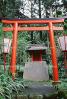 Torii Gate, CAJV02P09_11B