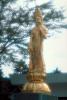 Buddha, Buddhist Statue, Gotemba, CAJV02P11_15.3339