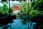 Garden, pond, stone, rocks, water, trees, Buddhist Shrine, Gotemba